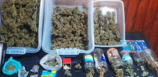 Allanamientos por robo terminaron con el hallazgo de droga: secuestraron marihuana y semillas de hachís