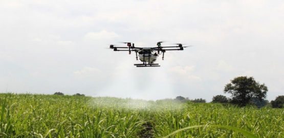Ramallo busca regular el uso de drones para fumigación: avance clave para la agricultura sustentable