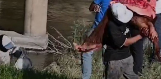 Violento robo rural en Río Tala: atraparon a cuatro jóvenes cuando huían con carne faenada en motos por la Ruta 9