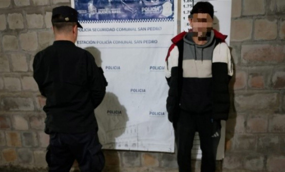 Violencia y horror: detienen a un hombre por golpear a su pareja y su hijo