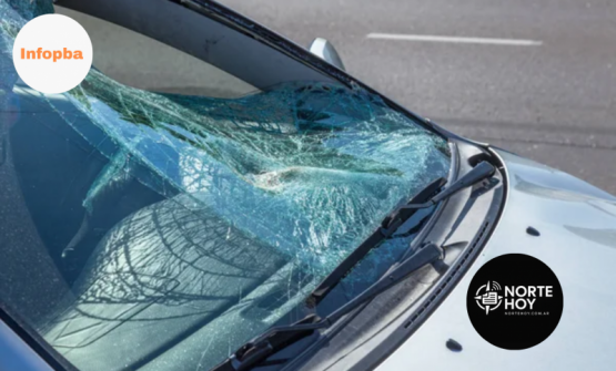 Violento robo en San Nicolás: le destrozaron el vidrio de la camioneta y le robaron una batería y documentación