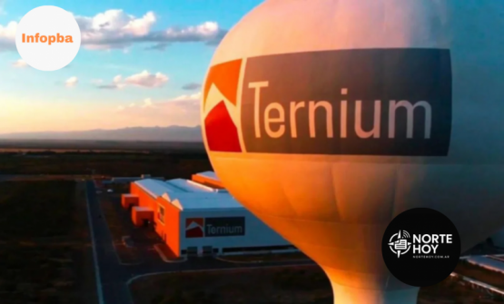 Paro en Ternium: la UOM frena tareas en casi 50 contratistas por salarios y condiciones críticas
