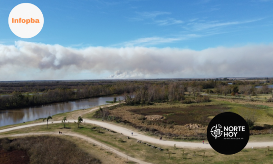 Condena histórica por incendios en el Delta: tres apicultores sampedrinos irán presos por el ecocidio en Lechiguanas