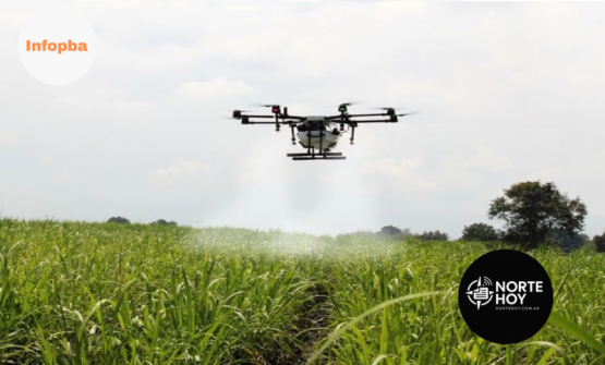 Críticas contundentes de la Federación Agraria de Ramallo a la nueva ordenanza sobre fumigación con drones