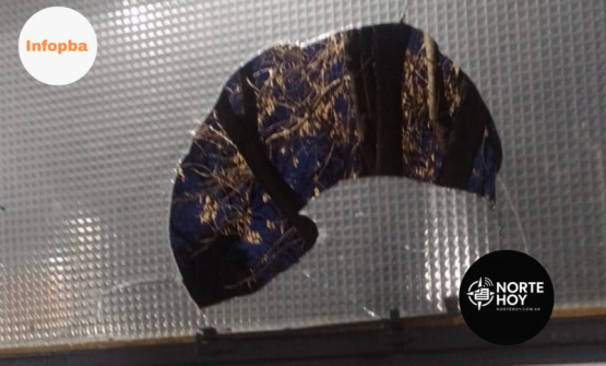 Ola de vandalismo en el Instituto Ramallo: tres ataques con piedras generan alarma en la comunidad educativa