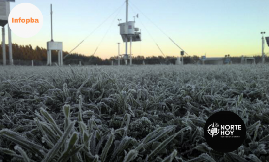 INTA San Pedro activa su sistema de alarma ante posibles heladas en la región