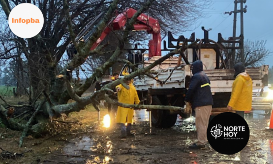 Vehículo despistó en la Ruta 191 por planta caída en pleno temporal en San Pedro