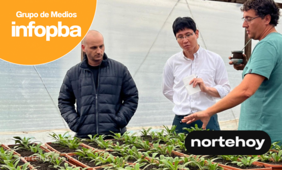 Tercera Jornada de Campo en Gobernador Castro: Innovación y Tecnología en Cultivos Invernales