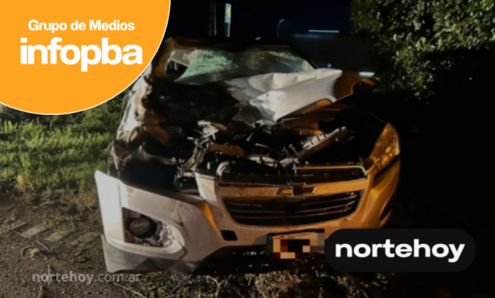 Impactante choque en la Ruta 9: un caballo embistió a una camioneta y hallaron un arma y una capucha, un joven quedó detenido