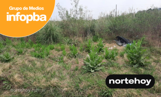 Ramallo intimará a los dueños de terrenos baldíos que no estén limpios ni desmalezados