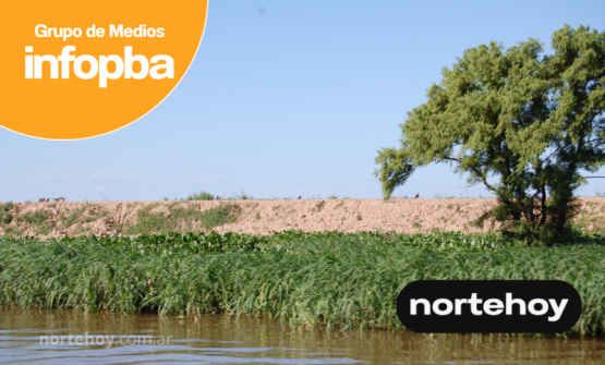 El avance de los terraplenes en el delta del Paraná alerta por un daño ambiental que ya afecta a millones