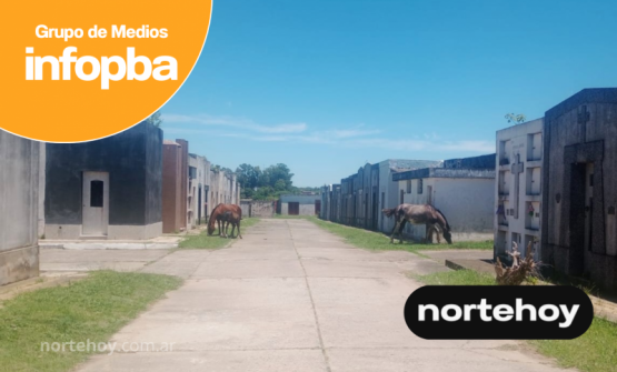 Caballos sueltos invadieron el Cementerio municipal: Tránsito intervino y los secuestró