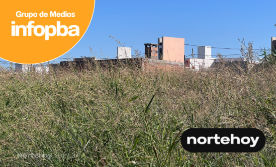 vecinos exigen al Banco Hipotecario y a propietarios el desmalezamiento urgente de los terrenos