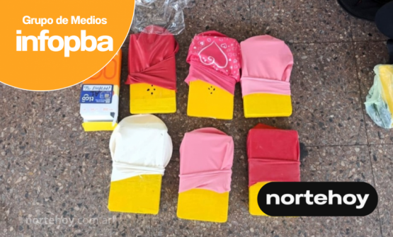 Golpe al narcotráfico: desarticulan red que enviaba cocaína desde Salta y tenía como destino San Nicolás